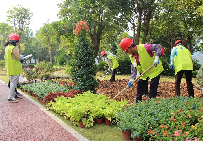 城市园林绿化工程的具体流程