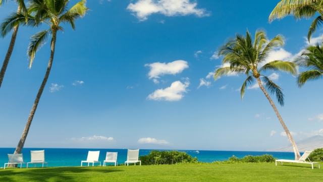 威斯尼斯公司：园林绿化植物存活期多少