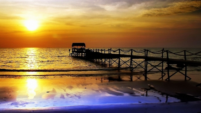 澳门威斯尼斯：园林绿化草坪种子是真的吗