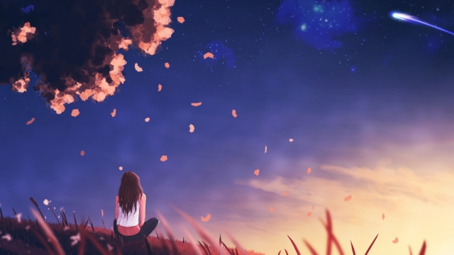 威斯尼斯公司：园林绿化用菊花