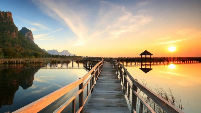 wns8888集团：园林绿化用的一种野菜