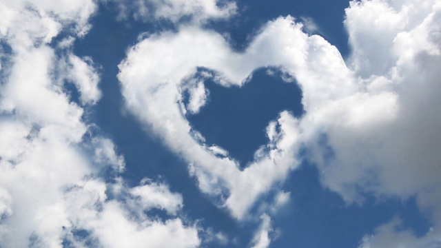 wns8888集团：园林绿化旅游景点