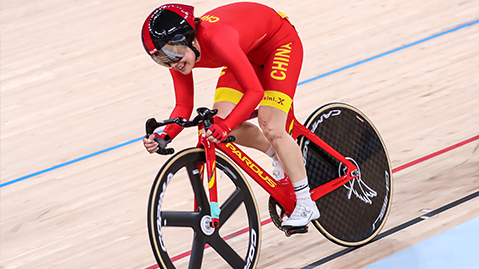 威斯尼斯集团：园林绿化红叶石楠等各种苗木