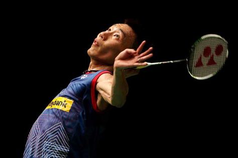 澳门威斯尼斯：园林绿化樱花