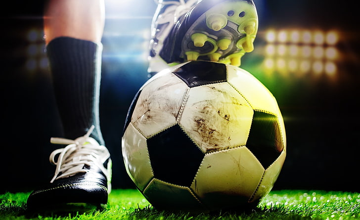 wns8888集团：园林绿化的植物种类有