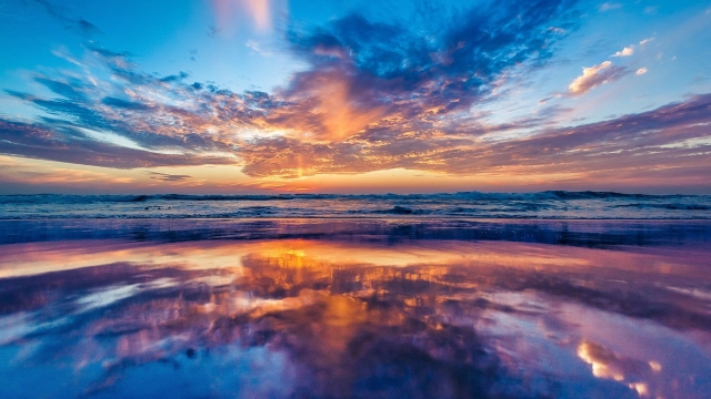 园林绿化一般用什么草坪