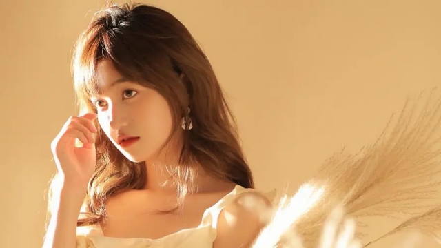 园林绿化绿篱常见种类 园林绿化绿篱常见种类